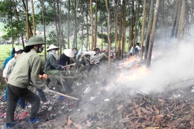 Hà Nội: Nguy cơ cháy rừng đang ở mức cao