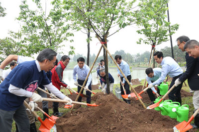 Chủ tịch Nguyễn Đức Chung trồng hoa anh đào tại Công viên Hòa Bình