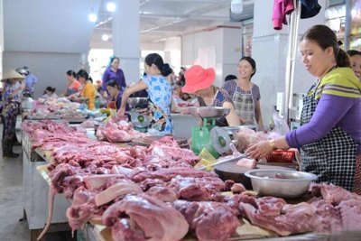 Hà Nội: Xử lý nghiêm hành vi vận chuyển, giết mổ lợn bất hợp pháp
