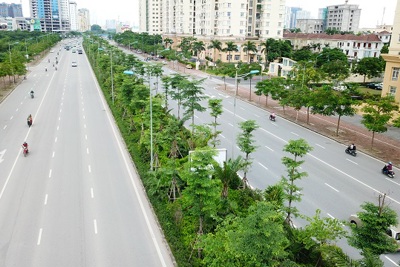 Hà Nội trồng 15.000 cây xanh nhân dịp Xuân Kỷ Hợi 2019