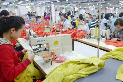 Chuyên gia kinh tế nêu kiến nghị tăng khả năng chống chịu cho doanh nghiệp Việt