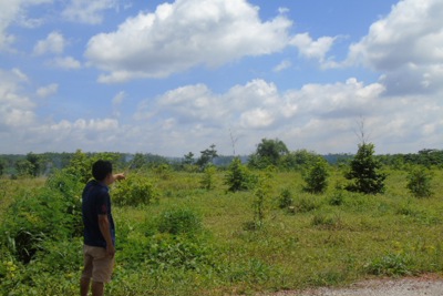 Bình Phước: Tạm dừng nhận hồ sơ tách thửa đất nông nghiệp