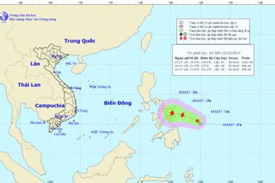 Sẵn sàng ứng phó nguy cơ bão số 15