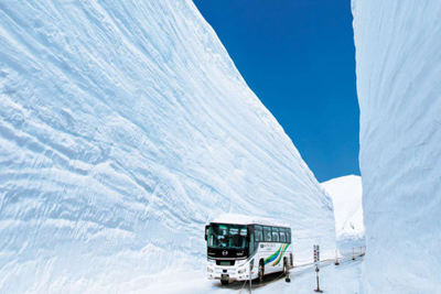 Khám phá nét độc đáo của con đường tuyết Tateyama Kurobe Alpine tại Nhật Bản