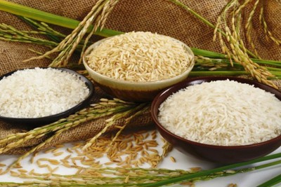 Không lo thiếu hụt dự trữ lúa gạo
