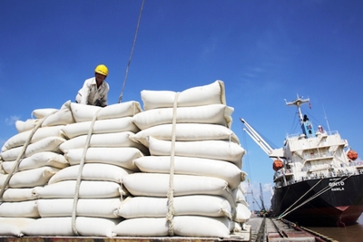 Hiệp hội Lương thực Việt Nam kiến nghị cho xuất khẩu gạo trở lại