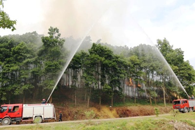 Tạm dừng xử lý thực bì bằng lửa để phòng chống cháy rừng