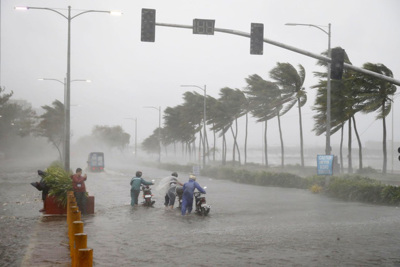 9 cơn bão gây thiệt hại gần nửa tỷ USD trong năm 2018