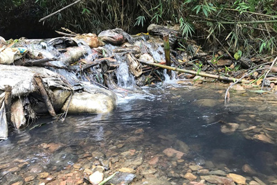 Thủ tướng yêu cầu điều tra, làm rõ nguyên nhân nước sạch sông Đà bị ô nhiễm