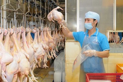 Thịt heo, thịt gà đồng loạt rớt giá vì ảnh hưởng dịch Covid-19