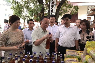 Hà Nội: Tiếp tục xúc tiến xuất khẩu sản phẩm nhãn chín muộn