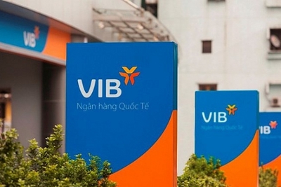 Cổ phiếu GVR, BSR, VIB được giao dịch nhiều nhất trên UPCOM tháng 8