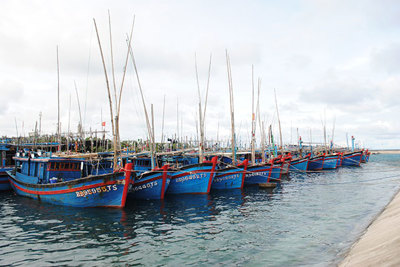 Bộ Nông nghiệp công bố 66 khu neo đậu tránh trú bão cho tàu cá