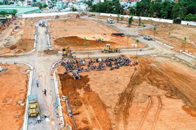 TP Hồ Chí Minh: Đề nghị khẩn trương gỡ vướng về quy định tách thửa đất ở
