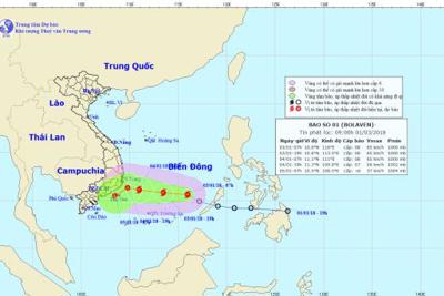 Sẵn sàng ứng phó bão số 1 giật cấp 10