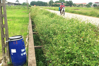 Huyện Phúc Thọ: Thúc đẩy sản xuất nông nghiệp sạch