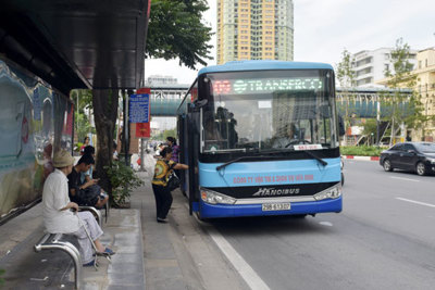 Phát triển xe buýt mini : Tăng tính kết nối cho giao thông đô thị