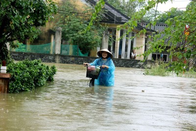 Phát động cuộc thi phim về những sự kiện thiên tai cực đoan