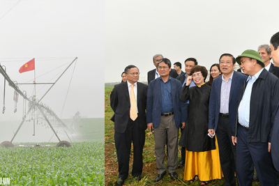 Thủ tướng dự khánh thành nhà máy nước tinh khiết, hoa quả, thảo dược lớn nhất miền Trung