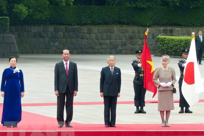Chủ tịch nước Trần Đại Quang hội kiến Nhà vua Nhật Bản Akihito