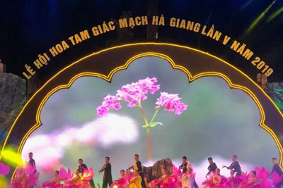 Khai mạc Lễ hội hoa tam giác mạch, du khách nườm nượp đến Hà Giang