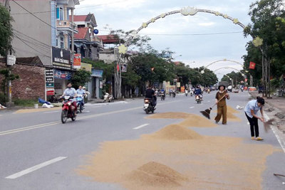 Phơi thóc lúa, rơm rạ trên đường giao thông: Ẩn họa nhiều nguy cơ tai nạn