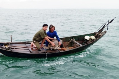 Hà Tĩnh: Rùa biển nặng gần 40kg được thả về môi trường tự nhiên