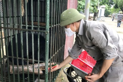 Hà Nội tiếp nhận 136 cá thể động vật hoang dã