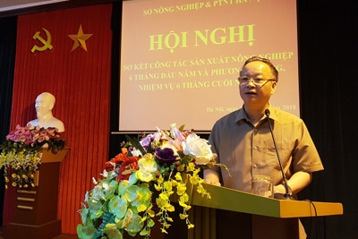 Phó Chủ tịch Thường trực UBND TP Hà Nội Nguyễn Văn Sửu: Ưu tiên phát triển nông nghiệp ứng dụng công nghệ cao