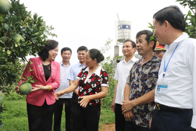 Lãnh đạo Thành ủy Hà Nội thăm hỏi, tri ân người có công