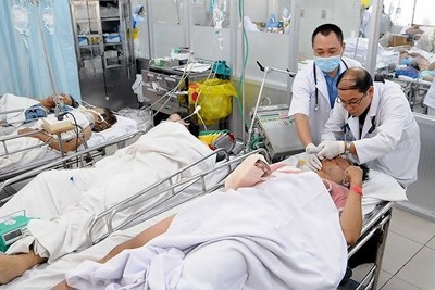 Gia tăng số bệnh nhân cấp cứu do tai nạn pháo nổ dịp Tết Nguyên đán Kỷ Hợi