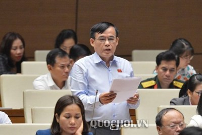 Không tổ chức HĐND cấp phường tại Hà Nội là đề án thí điểm, không vi hiến