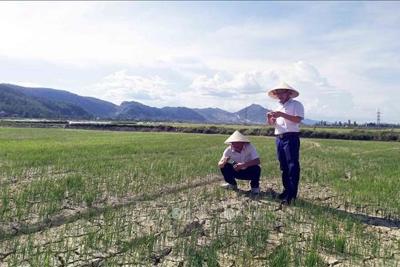 4 tỉnh Nam Trung Bộ có nguy cơ thiếu nước trầm trọng