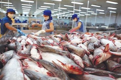 Mỹ nới thuế chống bán phá giá cá tra của Việt Nam