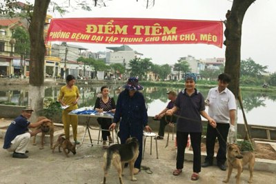 Thêm 4 ca bệnh dại trên người được ghi nhận tại Việt Nam