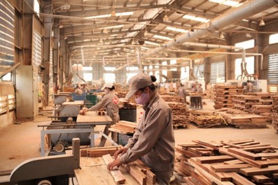 Việt Nam đứng thứ 5 thế giới về xuất khẩu gỗ và lâm sản