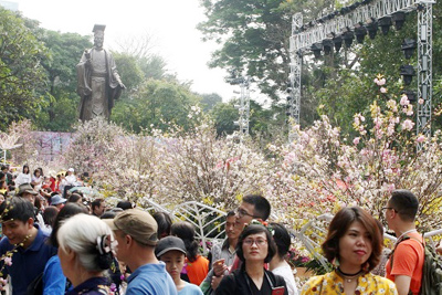 Lễ hội hoa anh đào Nhật Bản - Hà Nội 2019 kéo dài đến 2/4