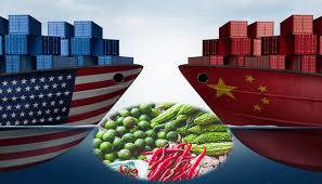 Kiên quyết ngăn chặn hàng hóa Trung Quốc gắn mác Việt Nam xuất sang nước thứ ba