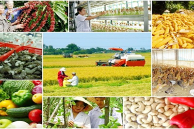 Tín dụng nông nghiệp nông thôn đạt gần 1,7 triệu tỷ đồng