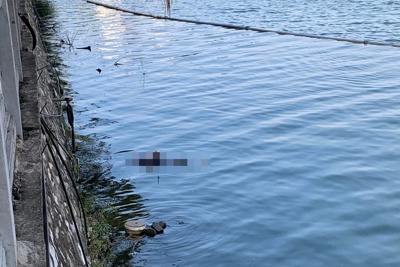 Hà Nội: Hoảng hồn phát hiện 1 thi thể phụ nữ nổi trên hồ Tây