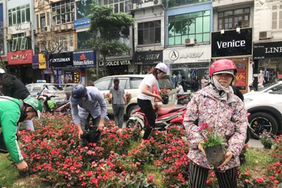 Vụ "hôi hoa" trên đường Kim Mã: Giành giật cái đẹp bằng hành vi xấu xí