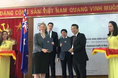 Việt Nam là nước đầu tiên xuất khẩu chôm chôm sang New Zealand