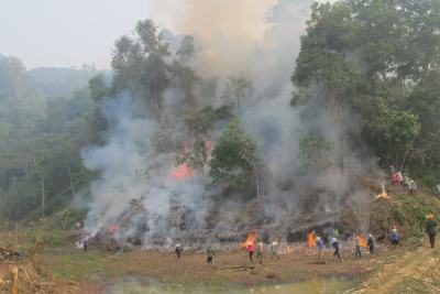 Phòng cháy, chữa cháy rừng: Các địa phương nguy cơ cháy rừng ở cấp cực kỳ nguy hiểm