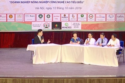 Sớm ban hành hướng dẫn thực hiện chính sách hỗ trợ hợp tác, liên kết phát triển nông nghiệp Hà Nội