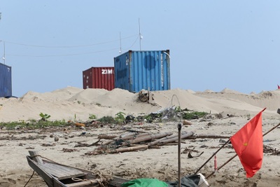 Vụ “Bãi container cũ không phép sừng sững giữa rừng phòng hộ ven biển”: Doanh nghiệp bị phạt nặng