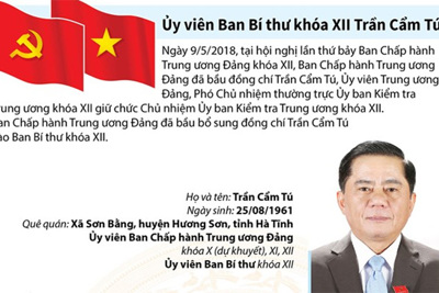 [Infographics] Ủy viên Ban Bí thư khóa XII Trần Cẩm Tú