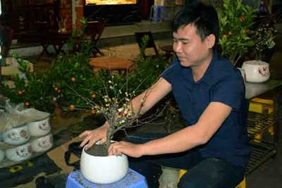Quận Hoàn Kiếm: Khai mạc chợ hoa xuân Canh Tý 2020