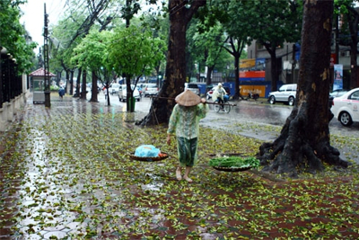 Ngày 10/7: Nắng mưa thất thường, chất lượng không khí Hà Nội đạt mức trung bình