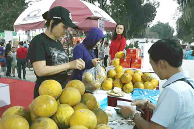 Khai mạc Hội chợ hàng hóa nông sản thực phẩm Tết Canh Tý 2020