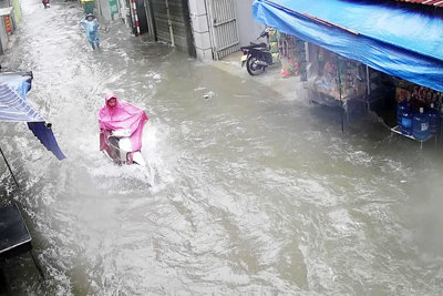 Hà Nội: Mưa sầm sập, gió quật mạnh, cây đổ, một số tuyến phố ngập sâu